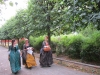 Skansen