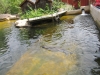 Skansen