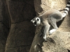 Skansen