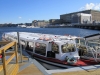 Royal Canal Tour, Delfin I
